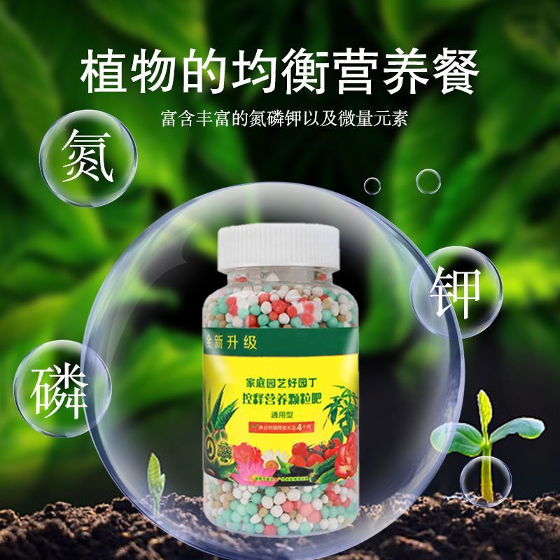 1727998818612507.jpg ee82b57866aa437eb0eee1c82e4fb8d9_20240929204843_658.jpg