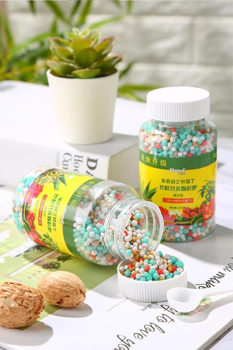 1727998898753035.jpg 63cc0496ba3a4f8a9b78f38cccc72d00_20240929204846_468.jpg